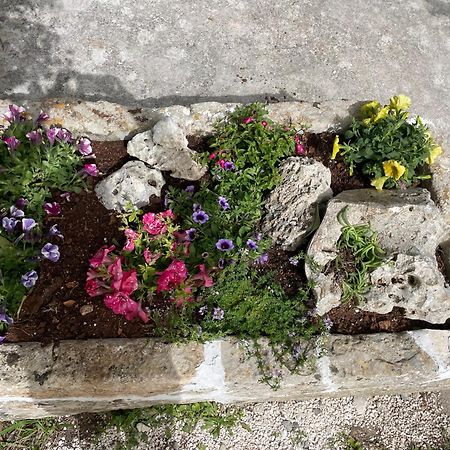 Il Trullo Di Nonno Licchio Villa Alberobello Kültér fotó