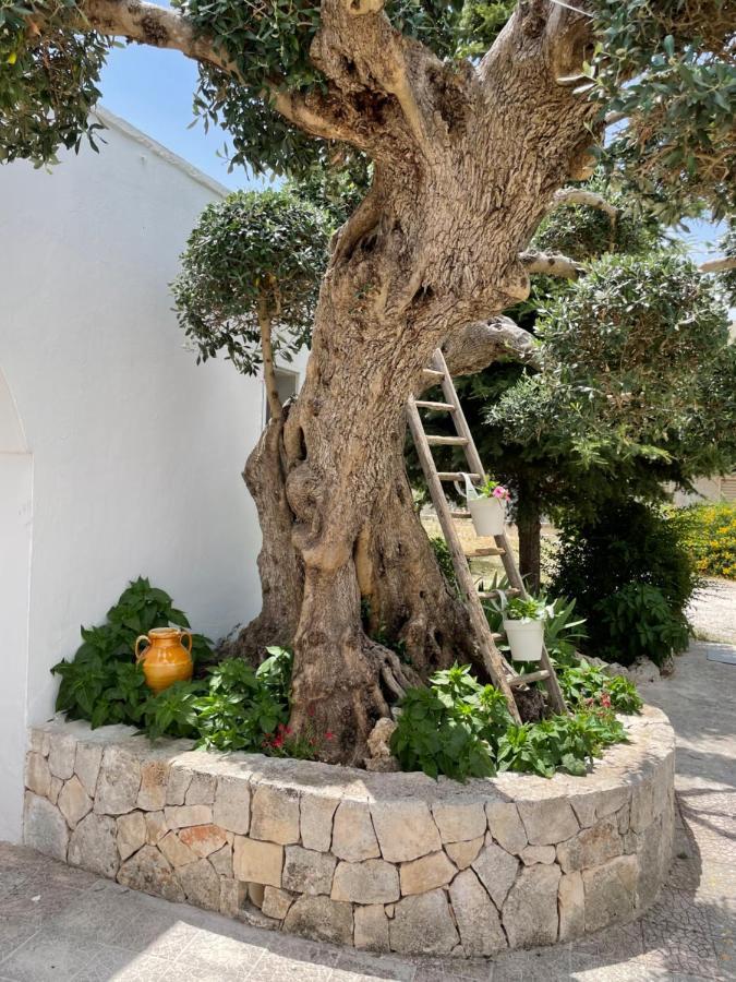 Il Trullo Di Nonno Licchio Villa Alberobello Kültér fotó