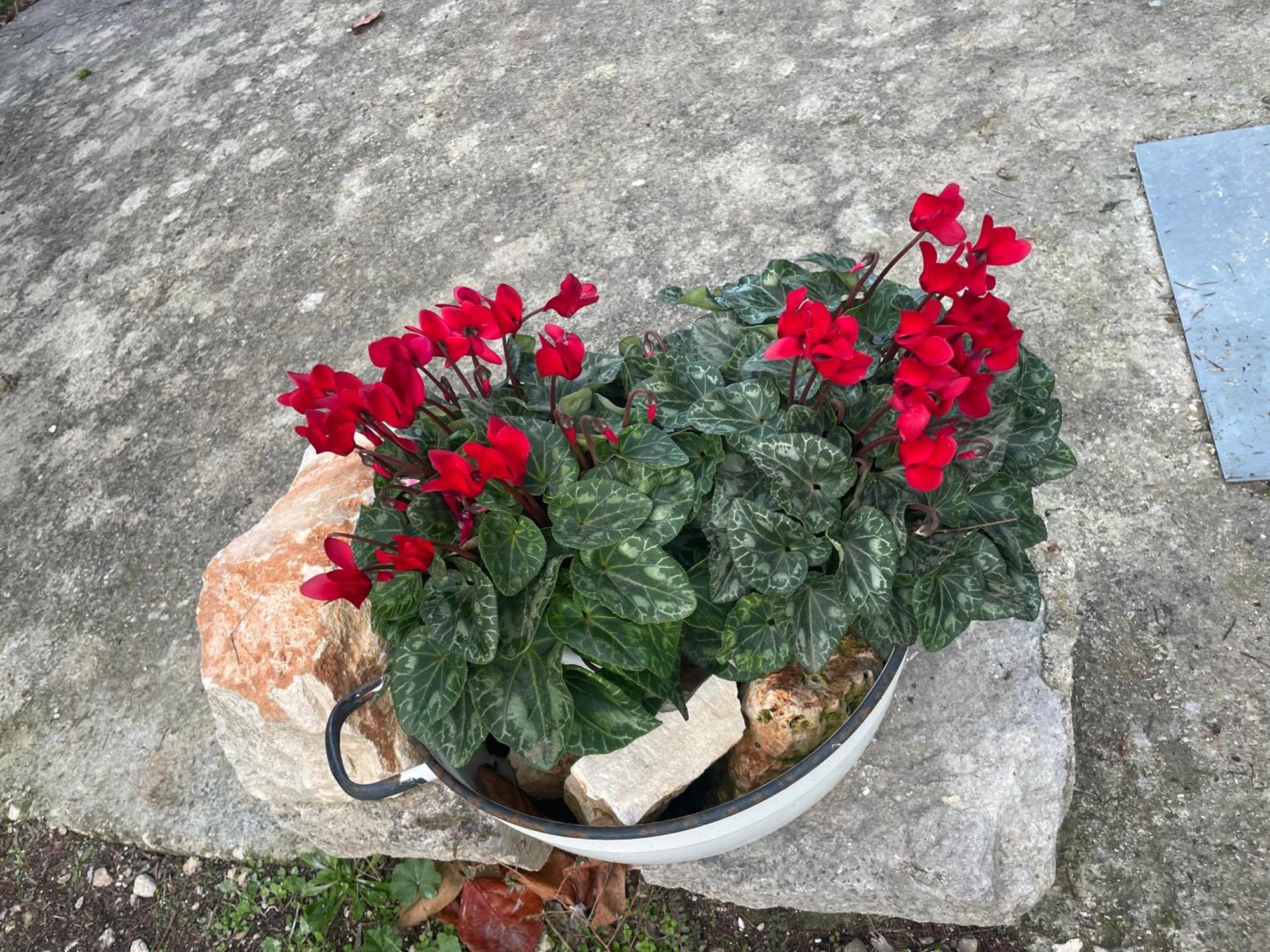 Il Trullo Di Nonno Licchio Villa Alberobello Kültér fotó