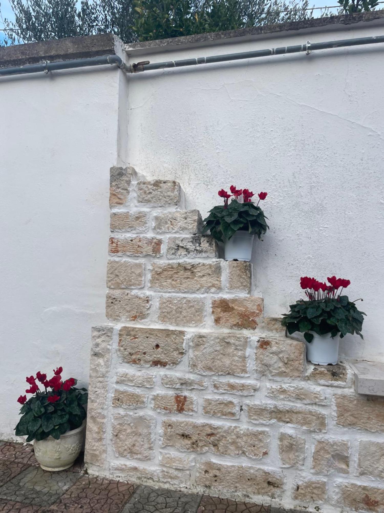 Il Trullo Di Nonno Licchio Villa Alberobello Kültér fotó